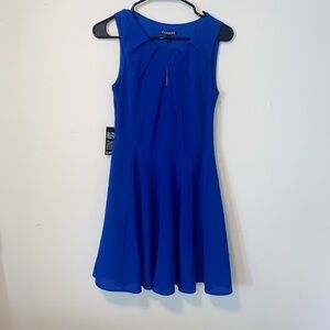 NWT Express Dress